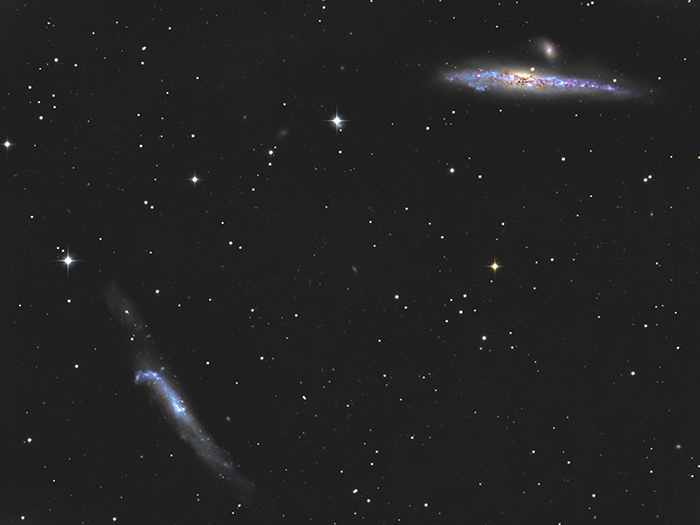 NGC 4631 und NGC 4656 Bilderforum interstellare Objekte (Deepsky